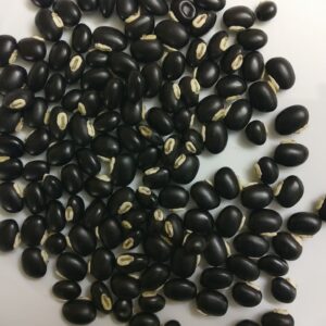 Black Velvet Beans Seeds (Mucuna Pruriens)