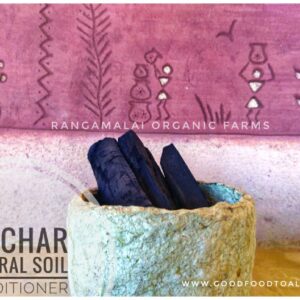 Biochar - Natural Soil Conditioner