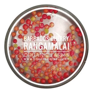 Acerola Cherry Seeds