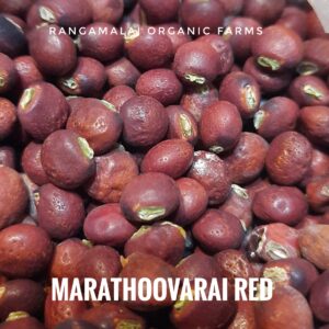 Red Pigeon Pea Seeds- Perennial Variety