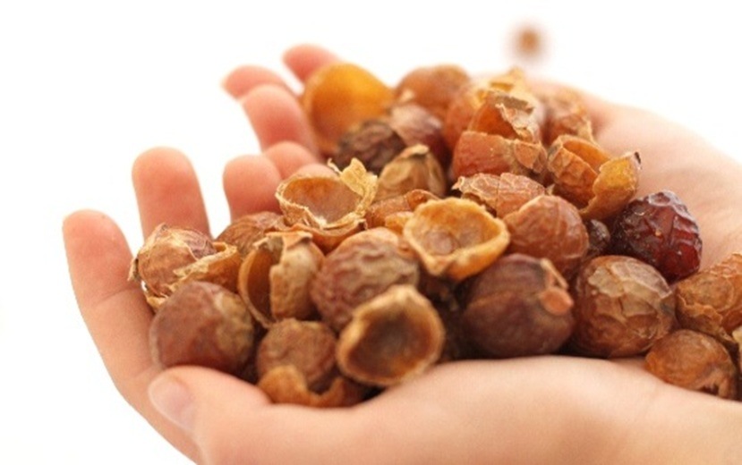 Reetha / Soap Nut Shell, 200g