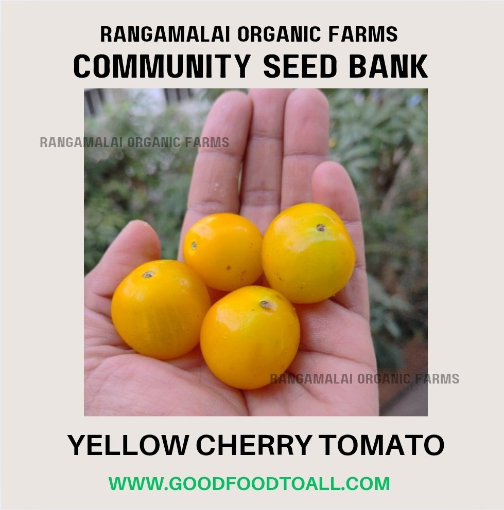 Yellow Cherry Tomato Seeds