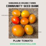Red Plum Tomato Seeds