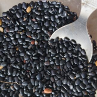 Black Horse gram seeds | Black Kollu seeds